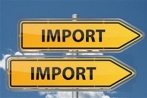 Совфед одобрил закон о параллельном импорте