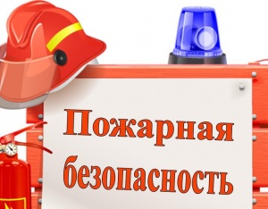 Семинар: "ЛИКБЕЗ по пожарной безопасности для директоров и собственников"