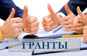 Социальные предприятия и молодые предприниматели Новосибирской области получат гранты от 100 до 500 тысяч рублей